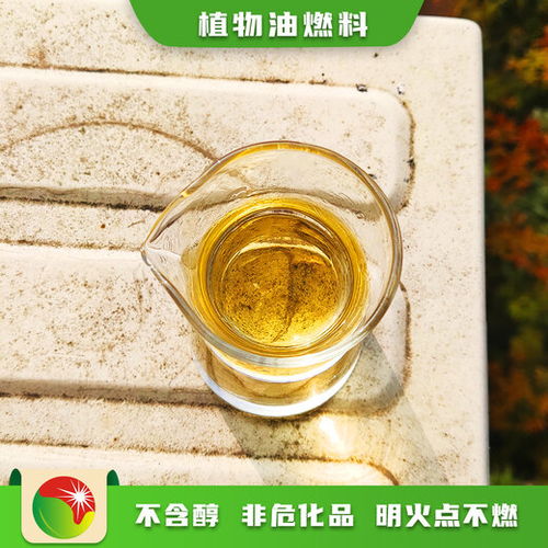 湖南常德燃料油配比与新能源植物油配送服务正式上线